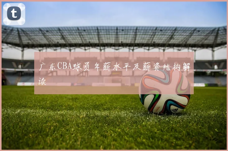 广东CBA球员年薪水平及薪资结构解读