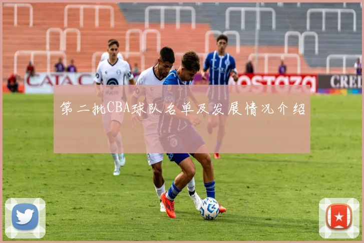 第二批CBA球队名单及发展情况介绍