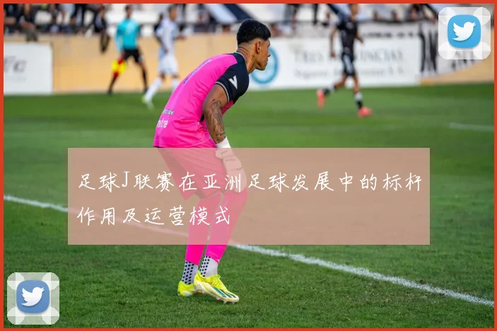 足球J联赛在亚洲足球发展中的标杆作用及运营模式