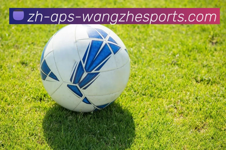 王者体育品牌故事